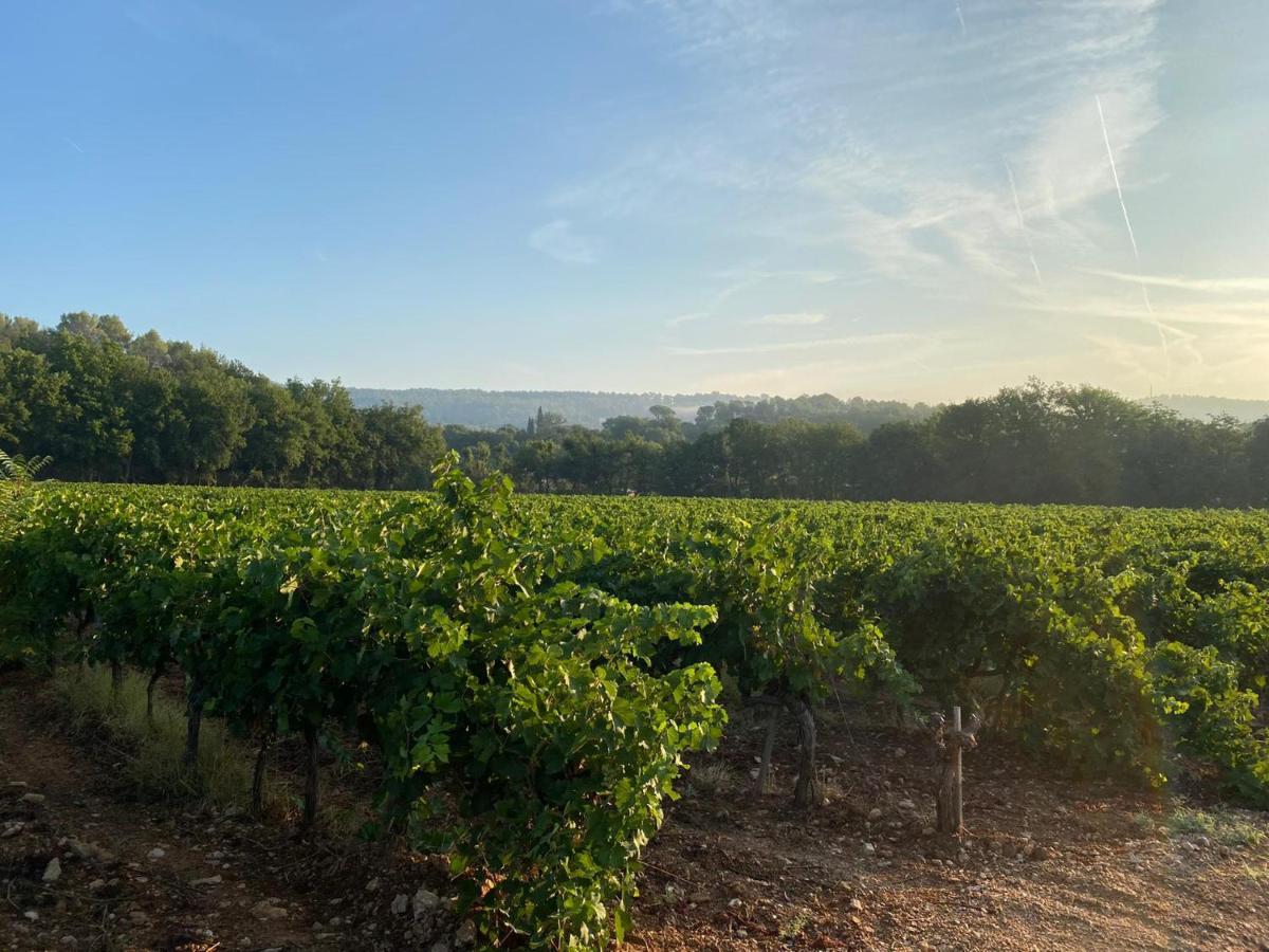 L'Eveil En Provence Bed & Breakfast Entrecasteaux Bagian luar foto
