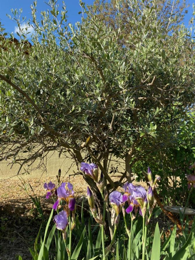 L'Eveil En Provence Bed & Breakfast Entrecasteaux Bagian luar foto